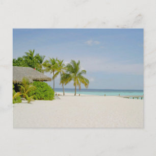 Bungalow and Beach in the Maldives Postcard