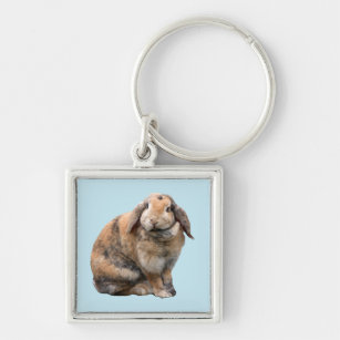 Bunnie rabbit lop-eared keychain, gift idea key ring