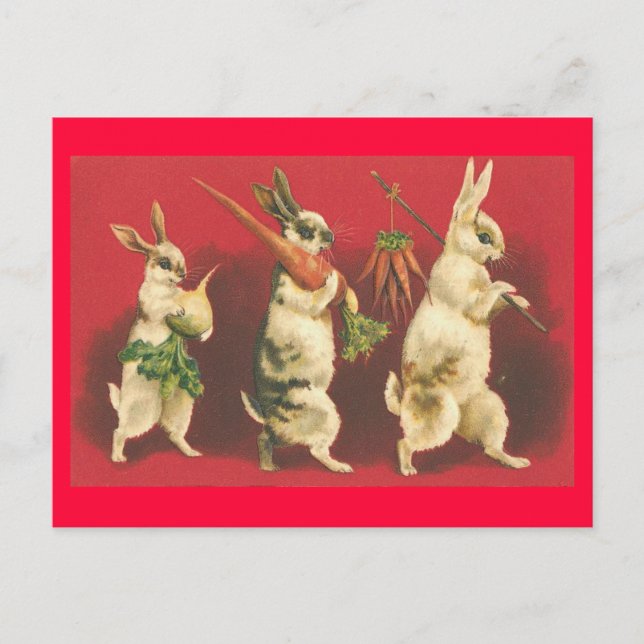 Bunnies and Carrots Postcard (Front)