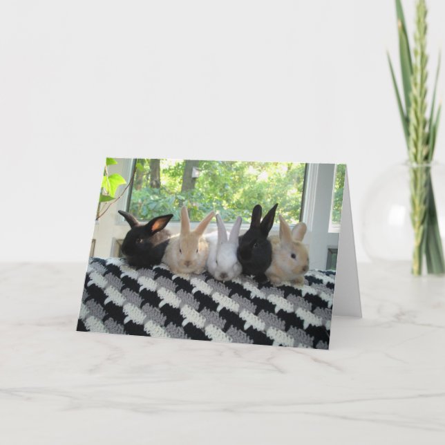 Bunnies Card (Front)