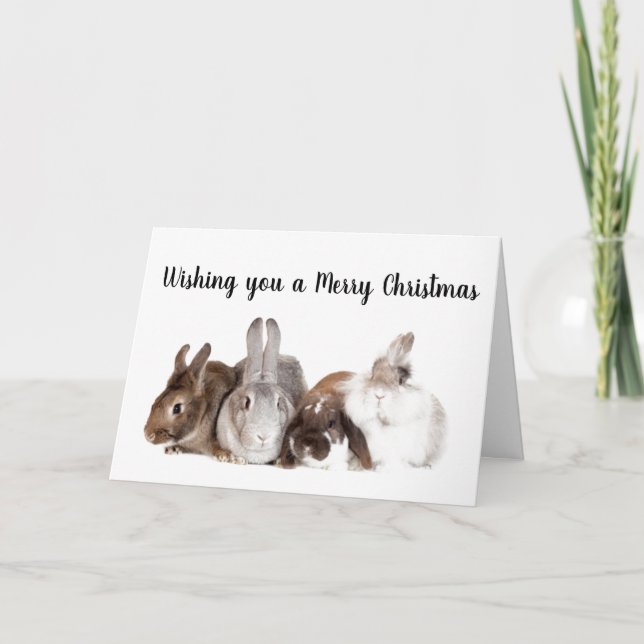 BUNNIES GOT TOGETHER TO SAY **MERRY CHRISTMAS** HOLIDAY CARD (Front)