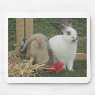 Bunnies Mouse Pad