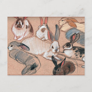 Bunnies Postcard