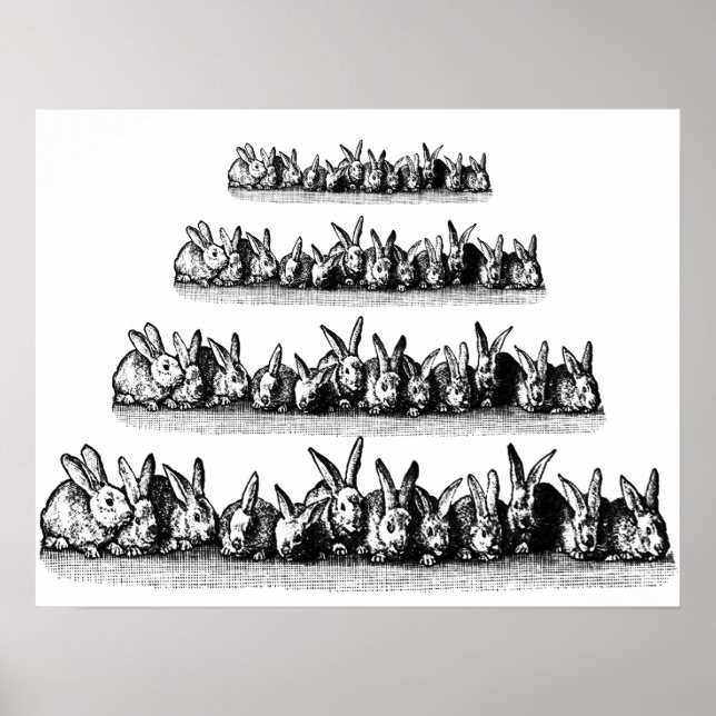 Bunnies Poster (Front)
