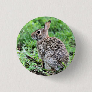 Bunny  3 cm round badge