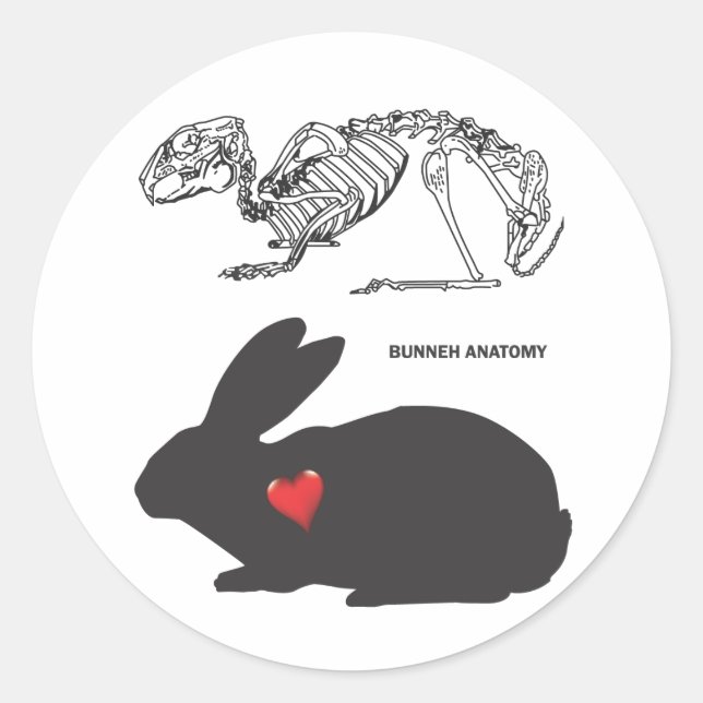 Bunny Anatomy Classic Round Sticker (Front)