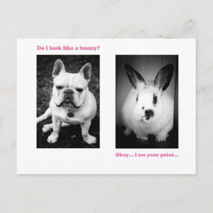 Bunny and French bulldog Postcard