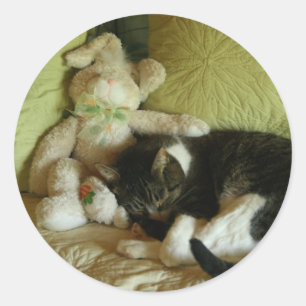 Bunny and kitty friend stickers