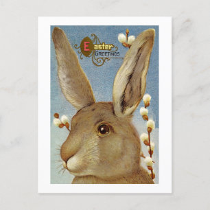 Bunny and Willow Branches Holiday Postcard