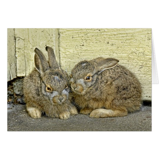 Bunny babies in the wild card