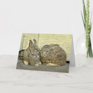 Bunny babies in the wild holiday card