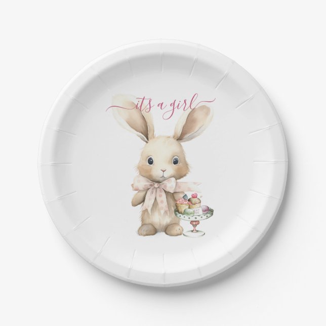 Bunny Baby Shower Girl  Paper Plate (Front)