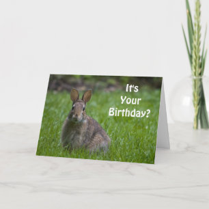 Bunny Birthday Card