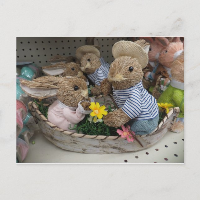 Bunny Boat Postcard (Front)