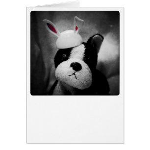 Bunny Card