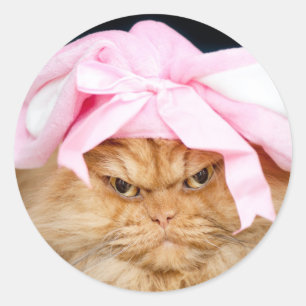 Bunny Cat Easter Classic Round Sticker