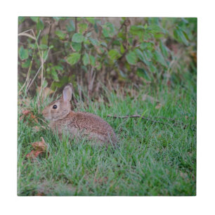 Bunny Ceramic Tile