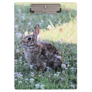 Bunny  clipboard