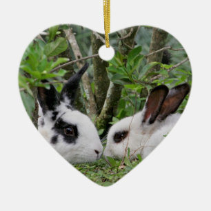 Bunny Couple Ceramic Tree Decoration