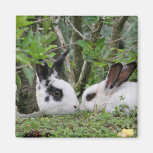 Bunny Couple Magnet