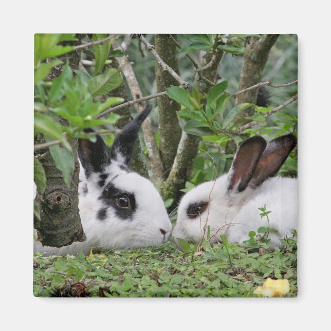 Bunny Couple Magnet (Front)