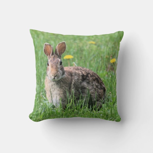 Bunny Cushion (Front)