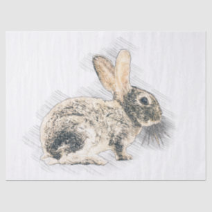 Bunny Drawing Tissue Paper
