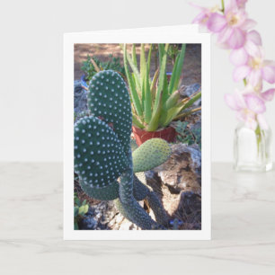 Bunny Ears Cactus and Aloe Vera Plant Card