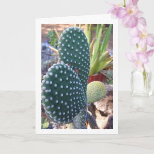 Bunny Ears Cactus Plant Card