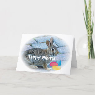 Bunny Easter Greeting Card