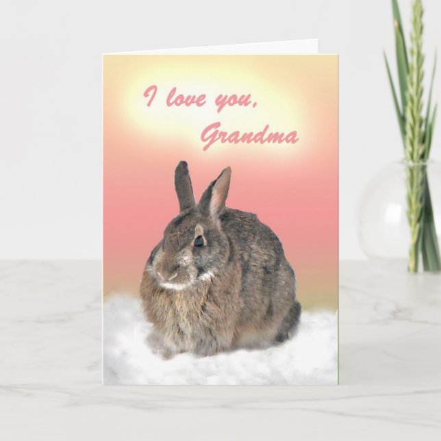 Bunny for Grandma Mother's Day Card (Front)