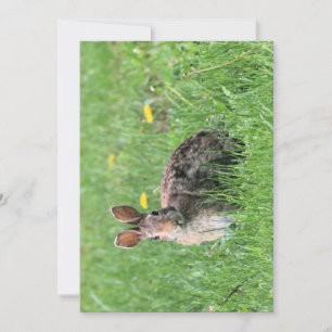 Bunny invitation