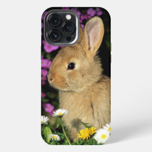 Bunny iPhone 13 Pro Max Case