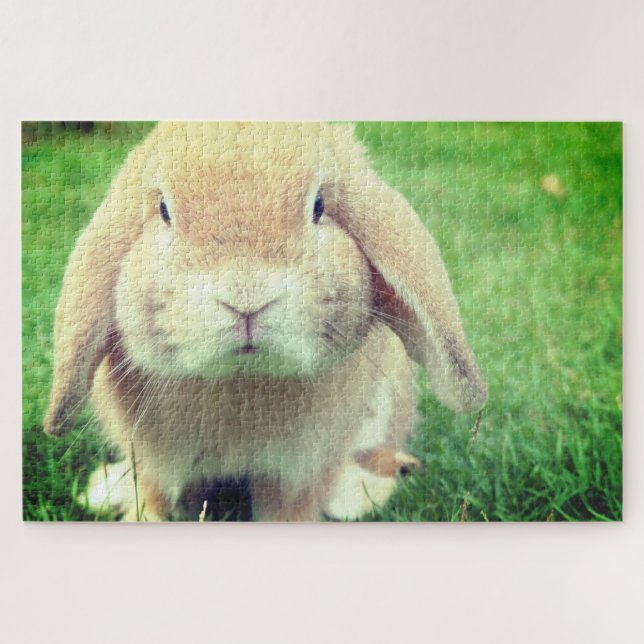 Bunny Jigsaw Puzzle (Horizontal)