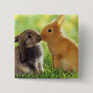 Bunny Kiss 15 Cm Square Badge