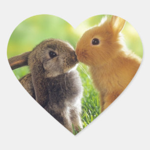Bunny Kiss Heart Sticker