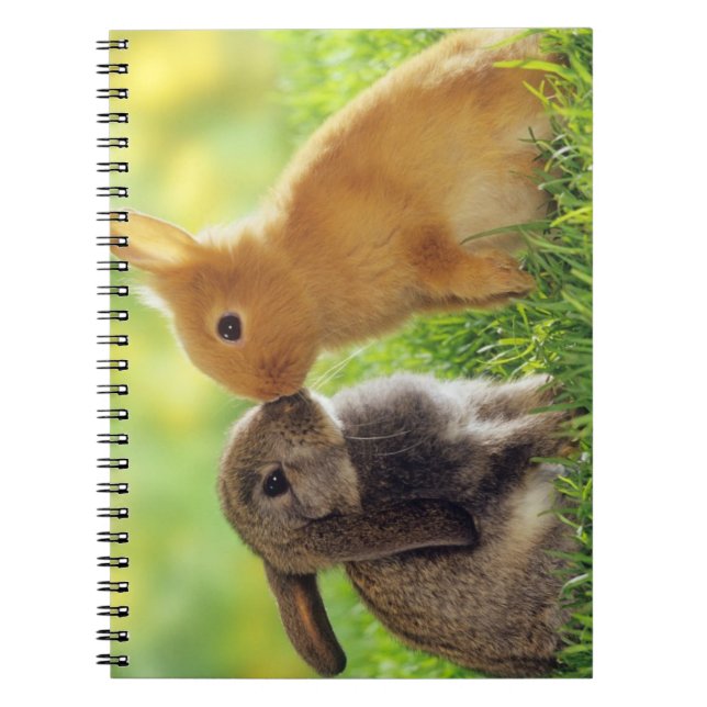 Bunny Kiss Notebook (Front)