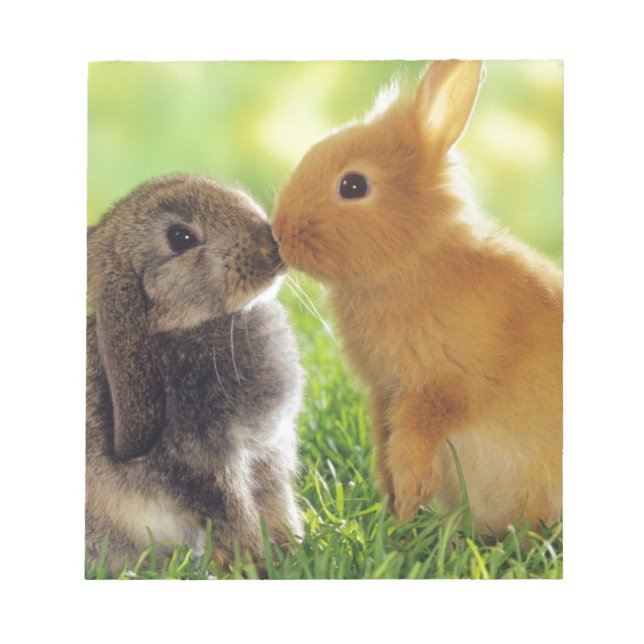 Bunny Kiss Notepad (Front)