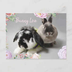 Bunny Love Postcard