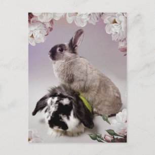 Bunny Love Postcard
