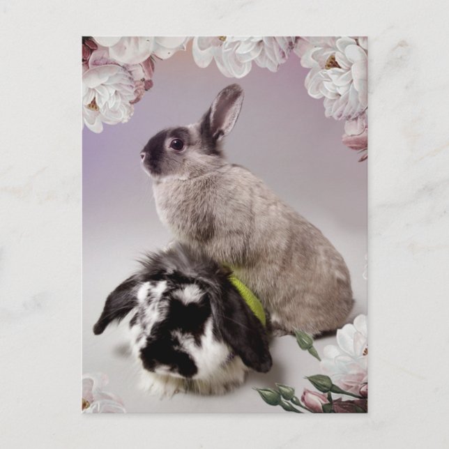 Bunny Love Postcard (Front)