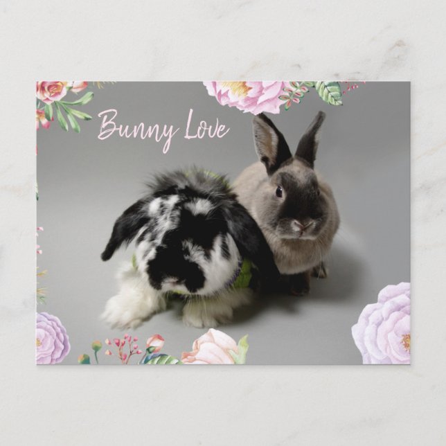 Bunny Love Postcard (Front)