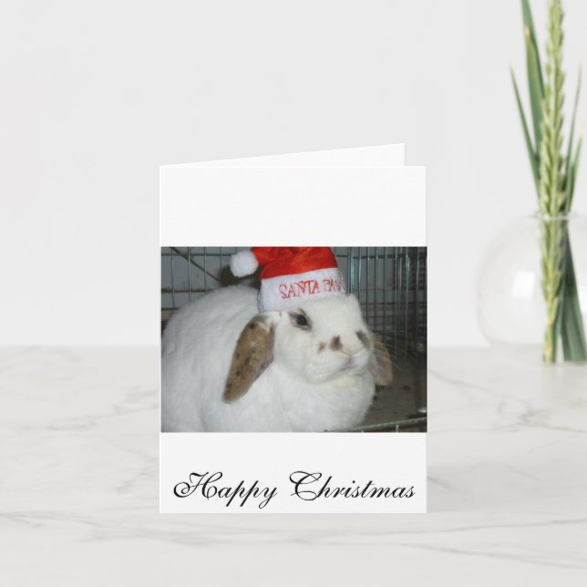 bunny lovers holiday card (Front)