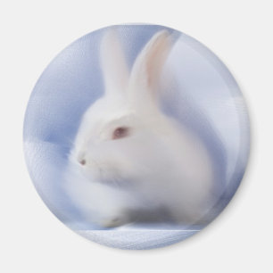 Bunny Magnet