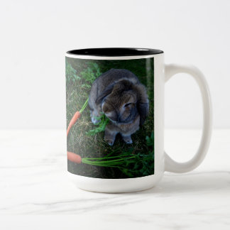 Bunny Munches Carrots / Mug