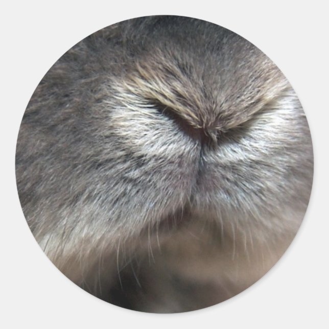 Bunny Nose Classic Round Sticker (Front)