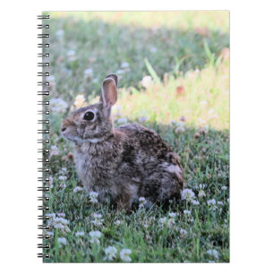 Bunny  notebook