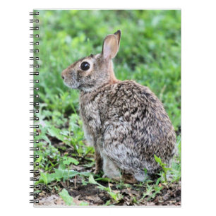 Bunny notebook