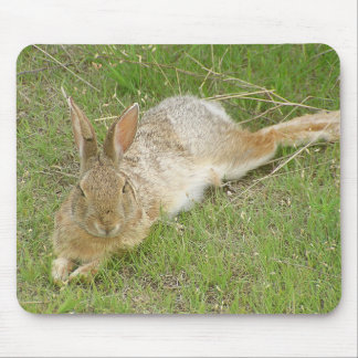 Bunny On Break Mouse Pad