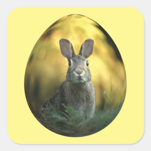 Bunny On Egg Square Sticker